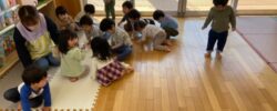 みかん組さん